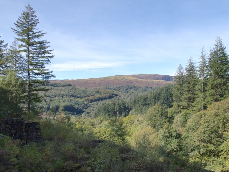 Post Banner - Ty'n y Groes - Glasdir Copper Trail