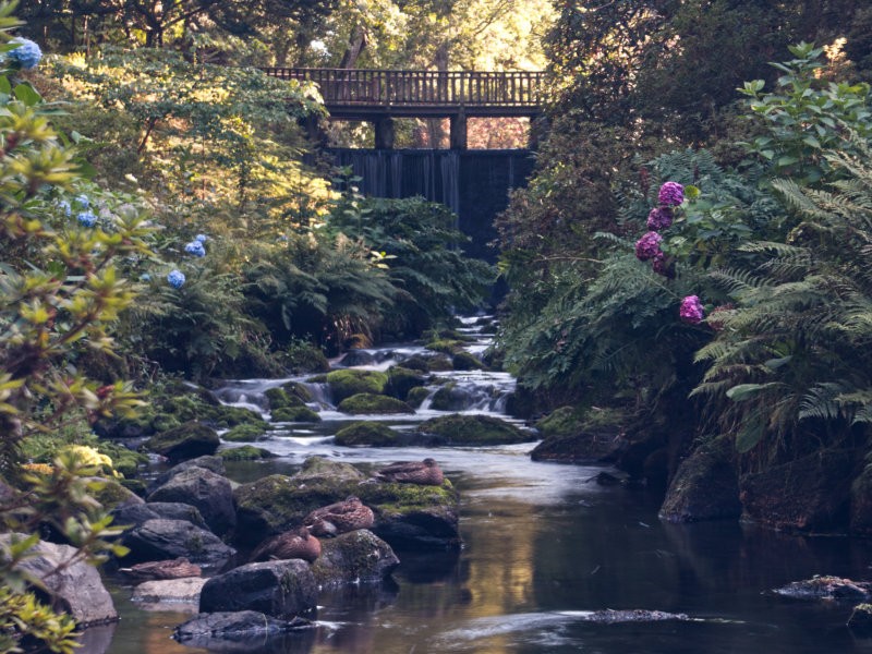 Waterfall bridge at Bodnant Garden