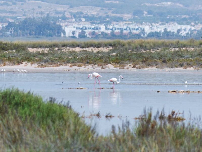 Post Banner - A day in Torre La Mata