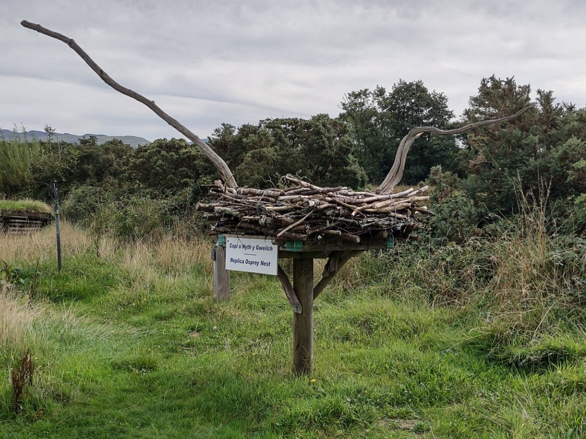 Post Banner - Bywyd Gwyllt Glaslyn Osprey Project