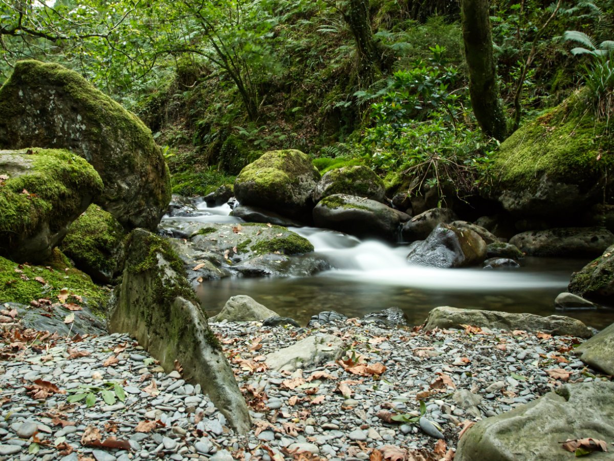 Post Banner - Coed Nant Gwernol - adventures along a historic train line