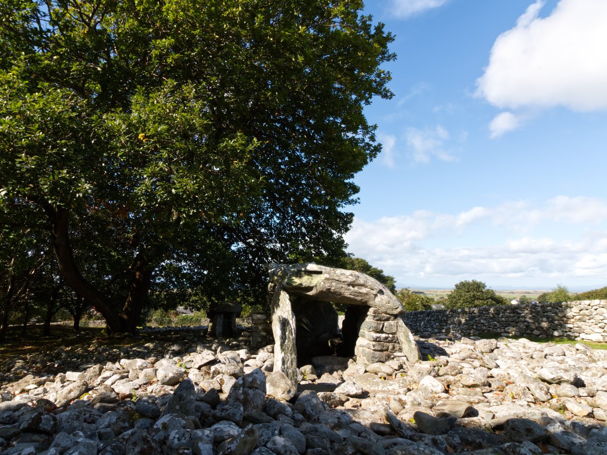 Post Banner - Dyffryn Ardudwy Burial Chamber