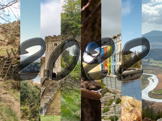 2022 in review Banner