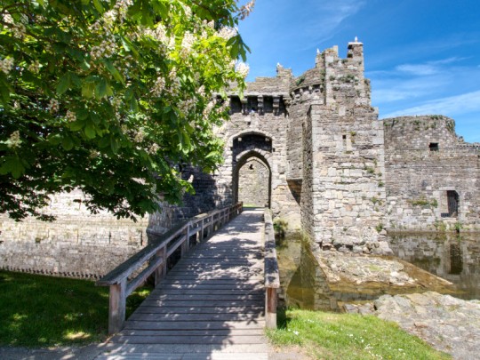 Beaumaris Castle Banner