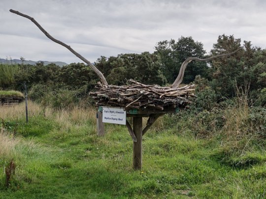 Bywyd Gwyllt Glaslyn Osprey Project Banner