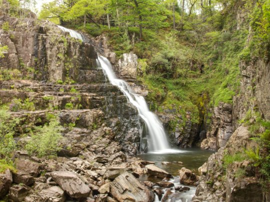 Coed y Brenin - Gain Waterfall Walking Trail Banner