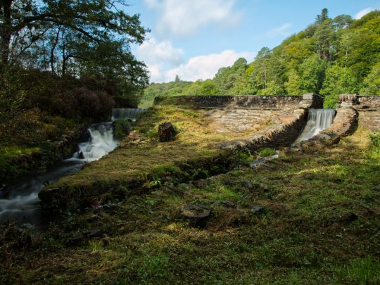 Coedydd Maentwrog's woodland and lake loops - Tafarntrip Covert, & Coed Llyn Mair, Coed Hafod-y-Llyn and Plas Tan y Bwlch Gardens Banner