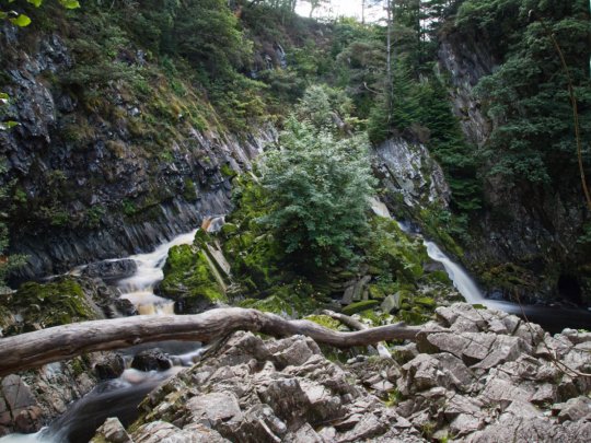 Conwy Falls at the café - Rhaeadr y Graig Lwyd Banner