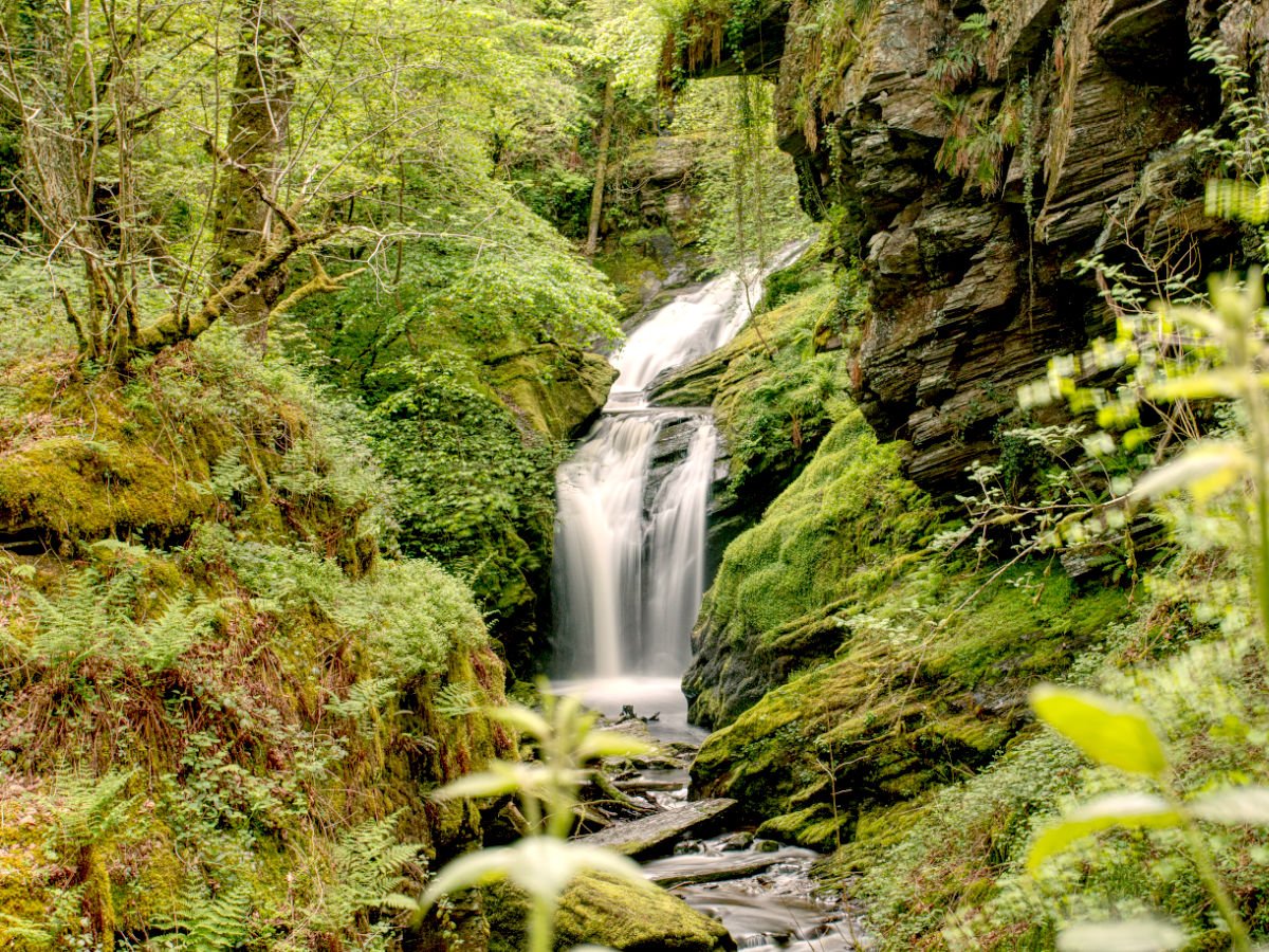 Rhaeadr Cynfal - Ffestiniog's gorge and waterfall walk Banner