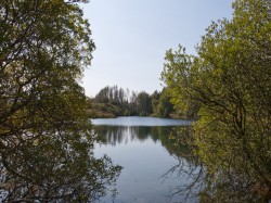 Cymer Abbey to Llyn Tan-y-Graig