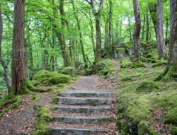 7 easy-going walks around Snowdonia