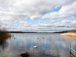 Aqualate Mere at Newport - the largest natural lake in the Midlands Banner
