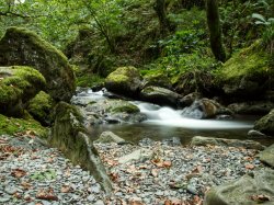 Coed Nant Gwernol - adventures along a historic train line