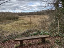 Loynton Moss at Woodseaves