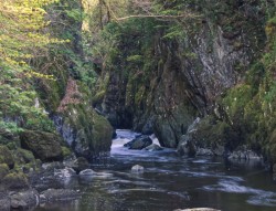 Fairy Glen - Betws-y-Coed