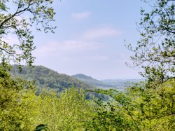 Wenlock Edge - Major's Leap path