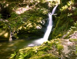 Dolgoch Falls