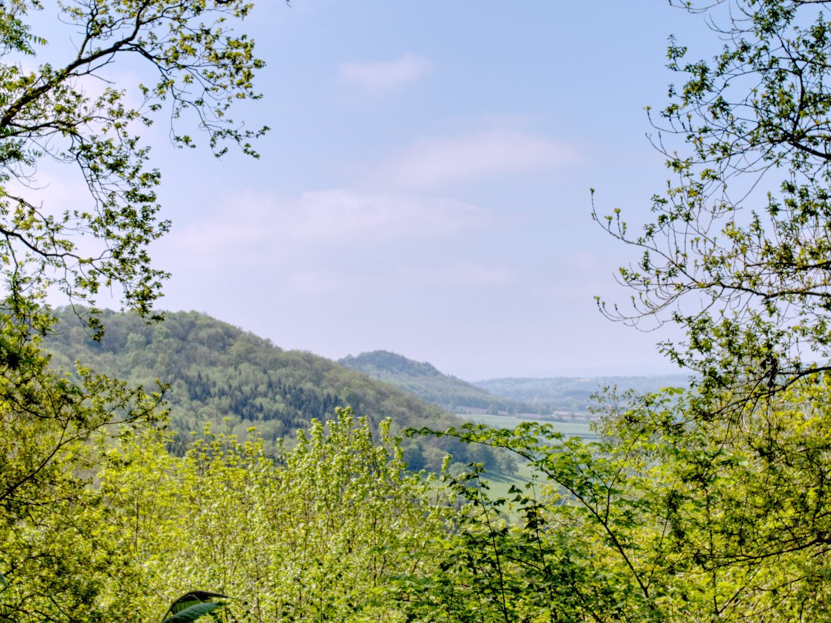 Post Banner - Wenlock Edge - Major's Leap path