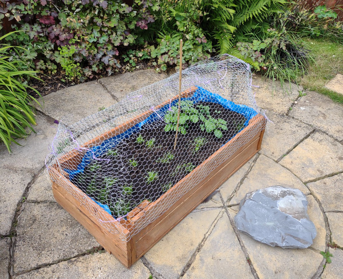 Our planter box