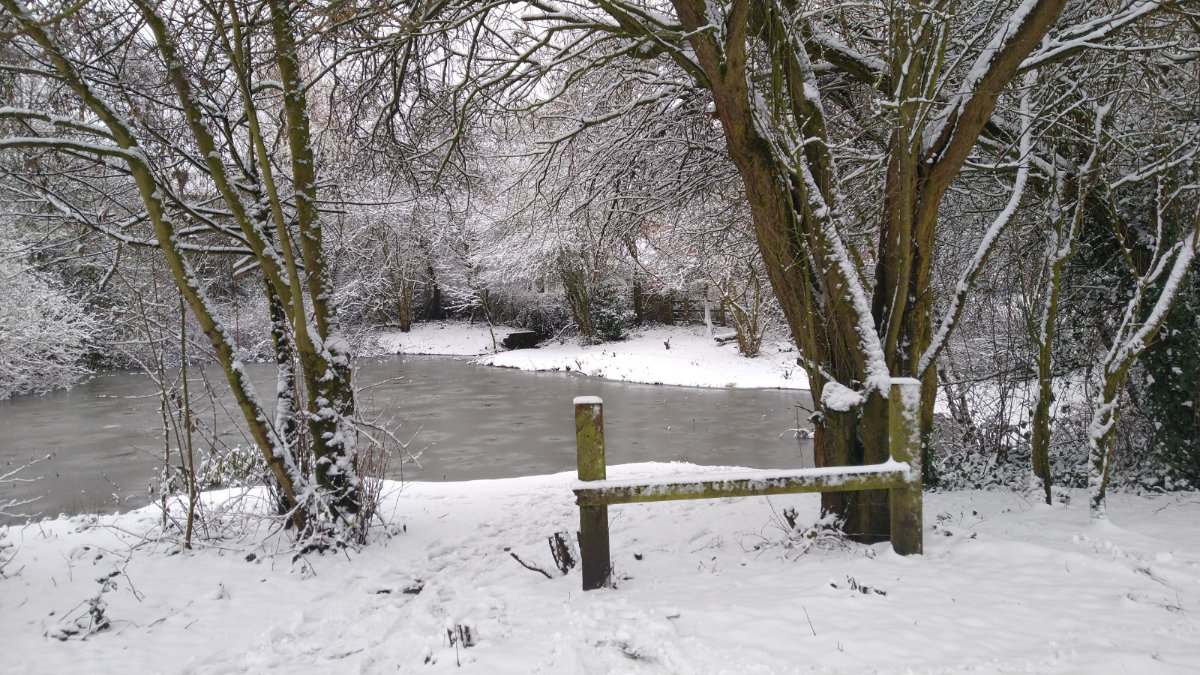 Snow at our local green space