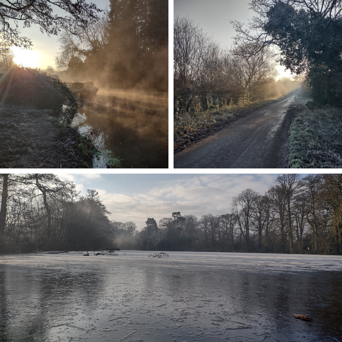 January started with frosty mornings abound