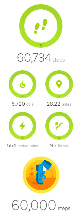Fitbit stats for the day