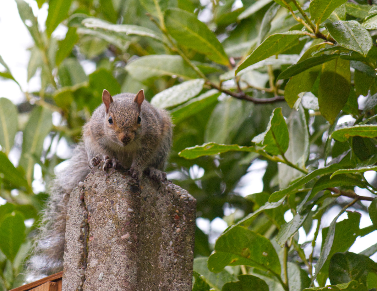 One of our little visitors