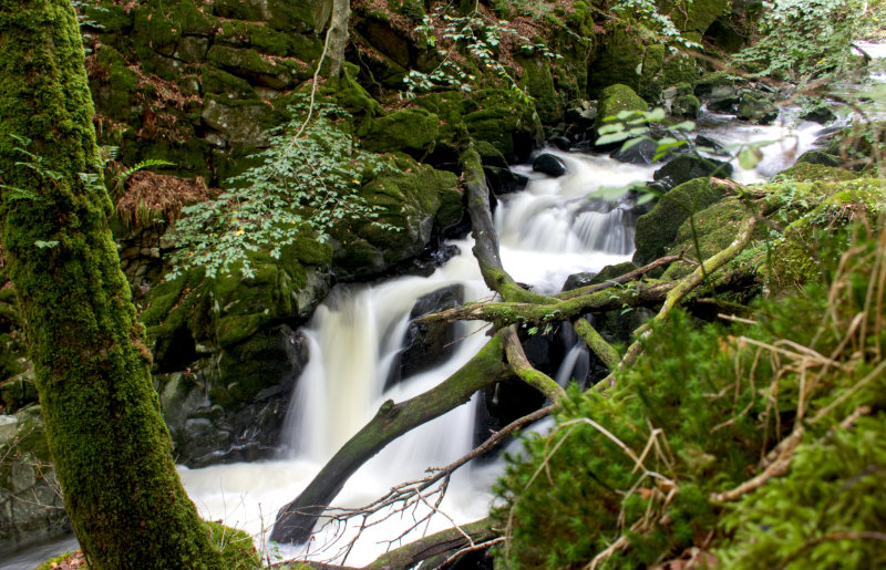 Long exposure of a mini-waterfall