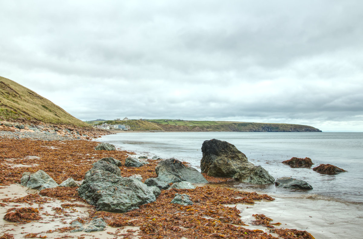 Views back up the coastline