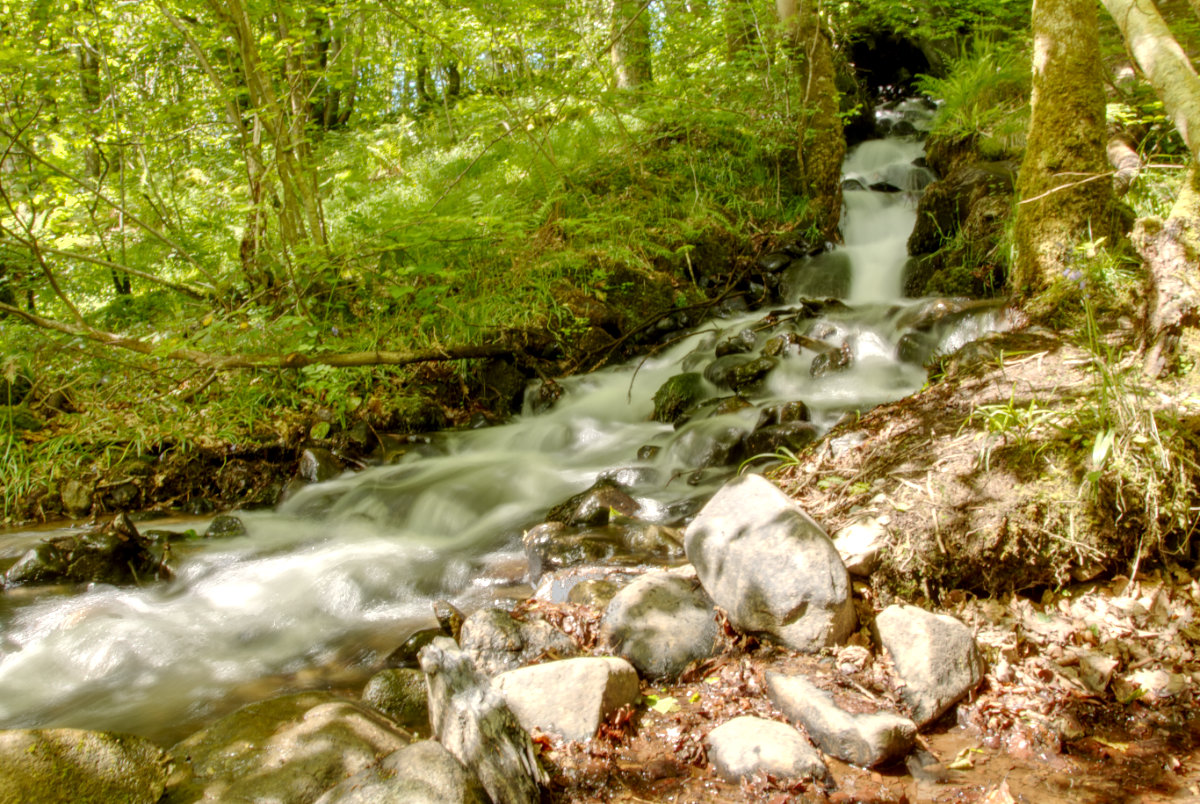 A cascade descending down to join the river