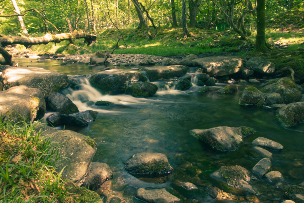 A cascade between stepping stones