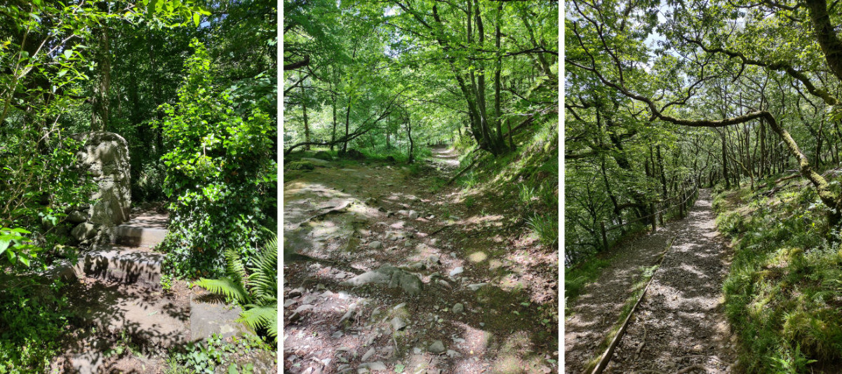 Some examples of the paths in the woods