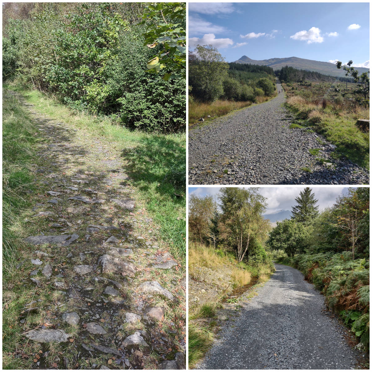 Pathways on the walk