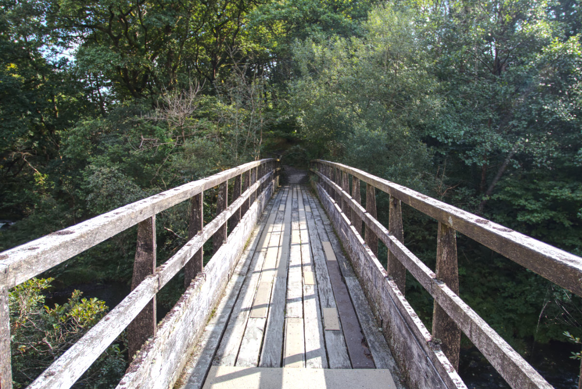 Looking back over the bridge