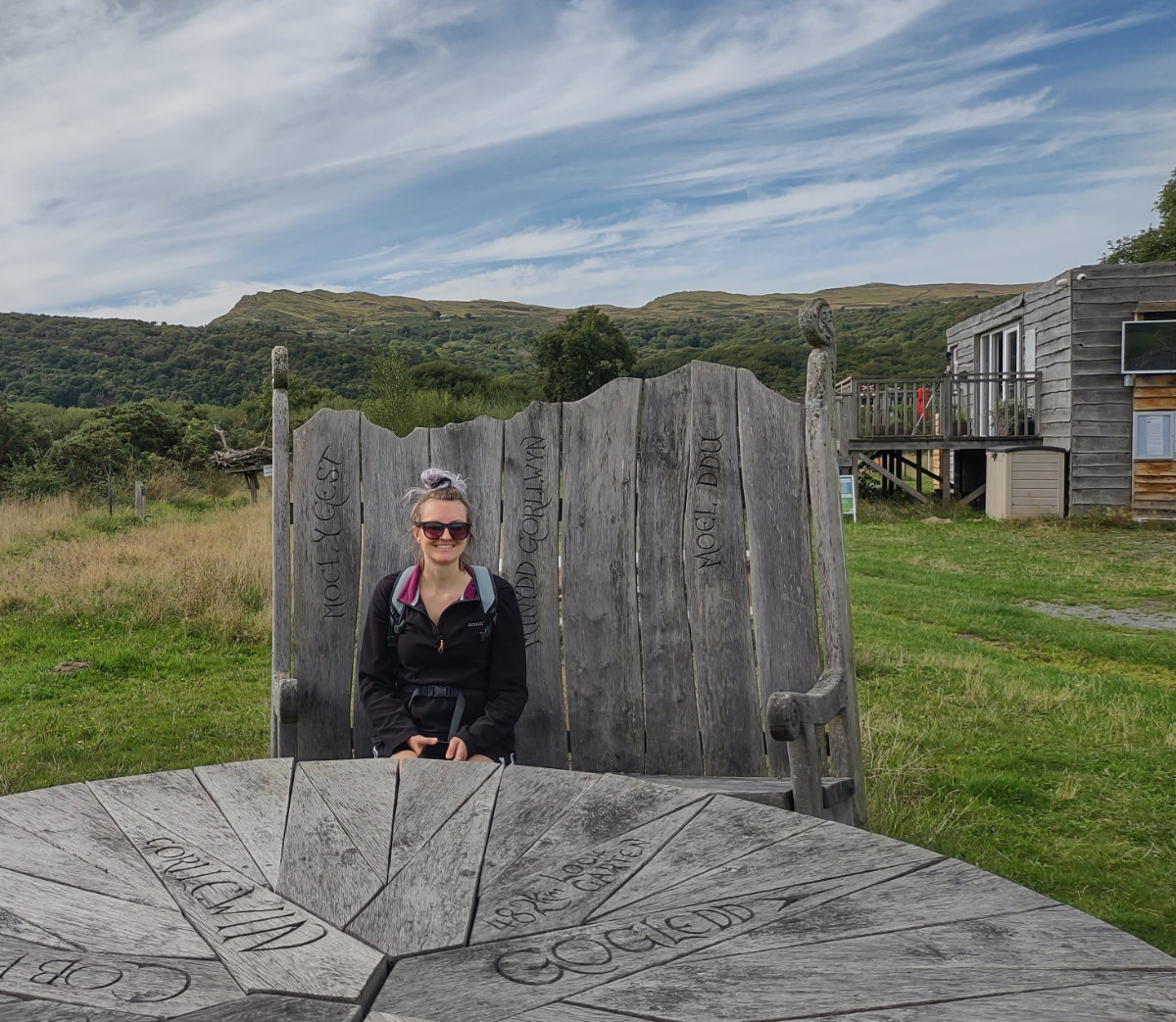 Carved bench with Moel y Gest behind