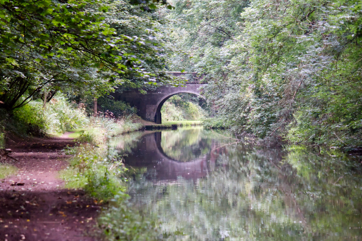 A look up the canals