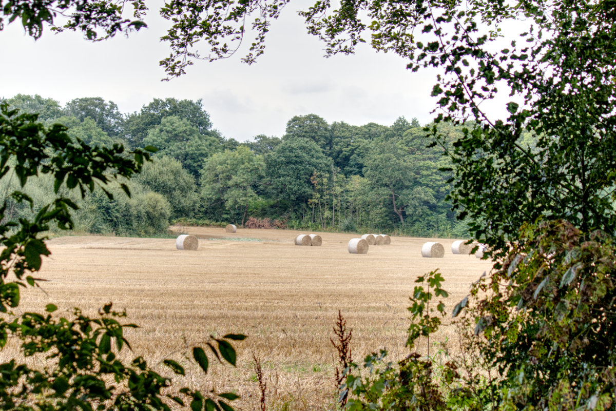 Looking out into the countryside