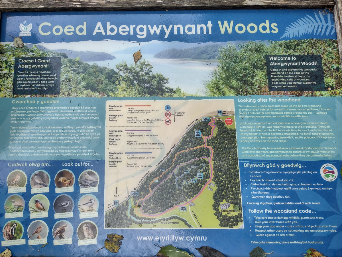 Walking routes at Coed Abergwynant