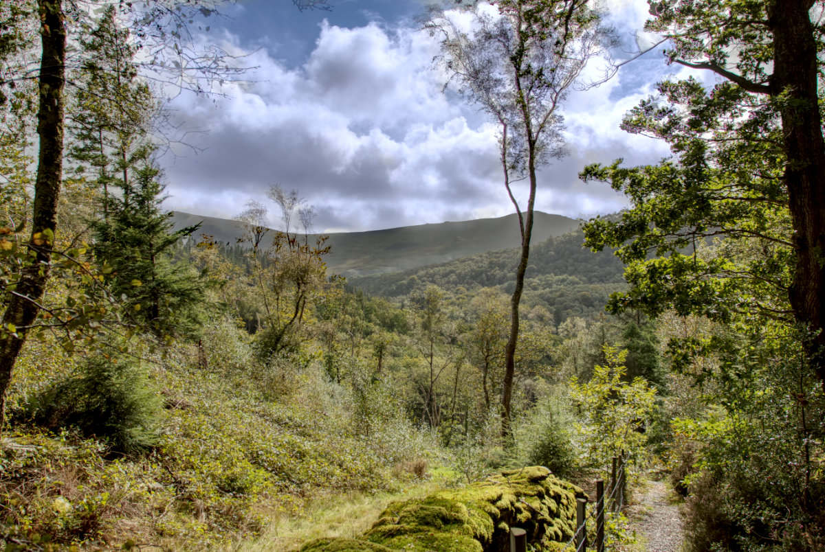 Views of Cadair Idris