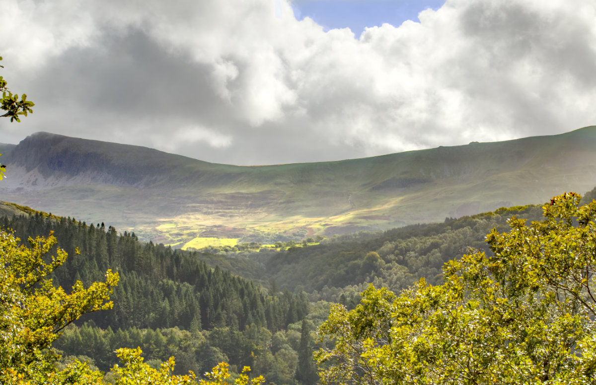 The glorious viewpoint on the Purple Path