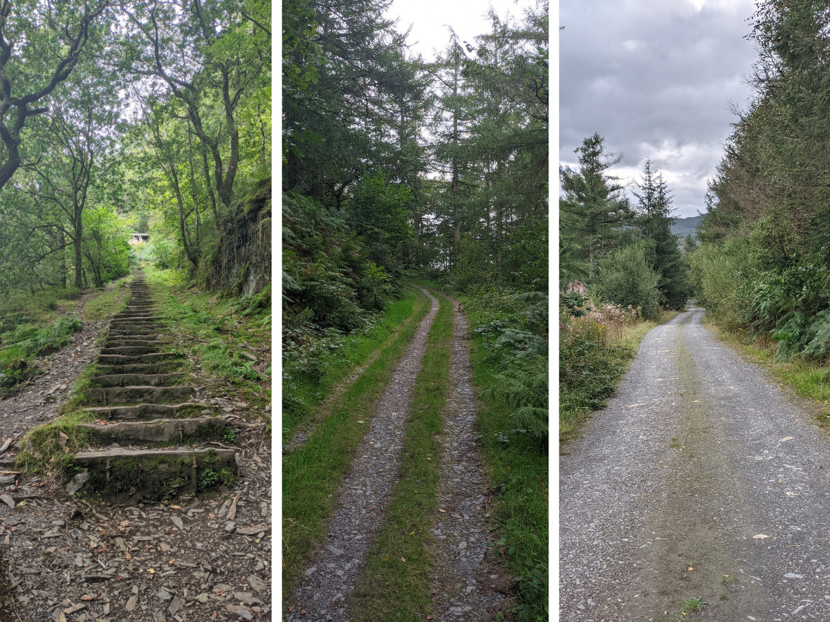 The stair ascent - the red route easy going paths - the upper woodland track