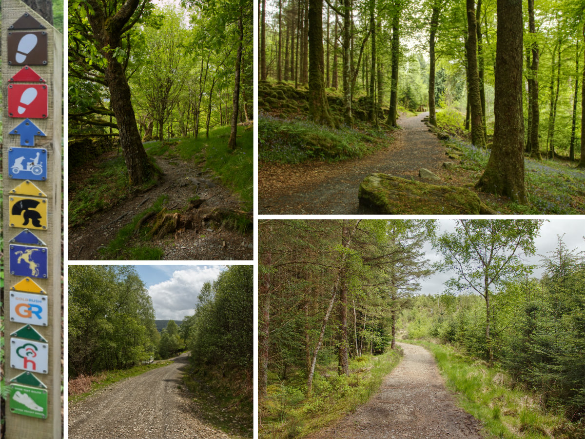 A collection of the early paths at Coed y Brenin