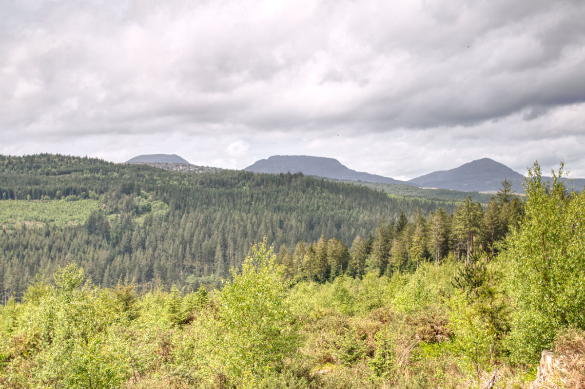 Mountain views from early on the red trail