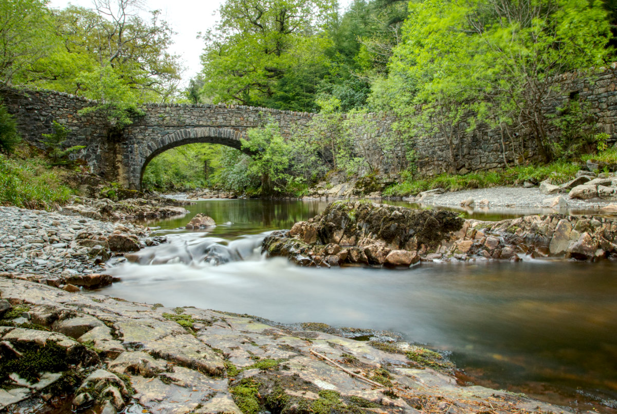 The bridge before the falls at Coed y Brenin