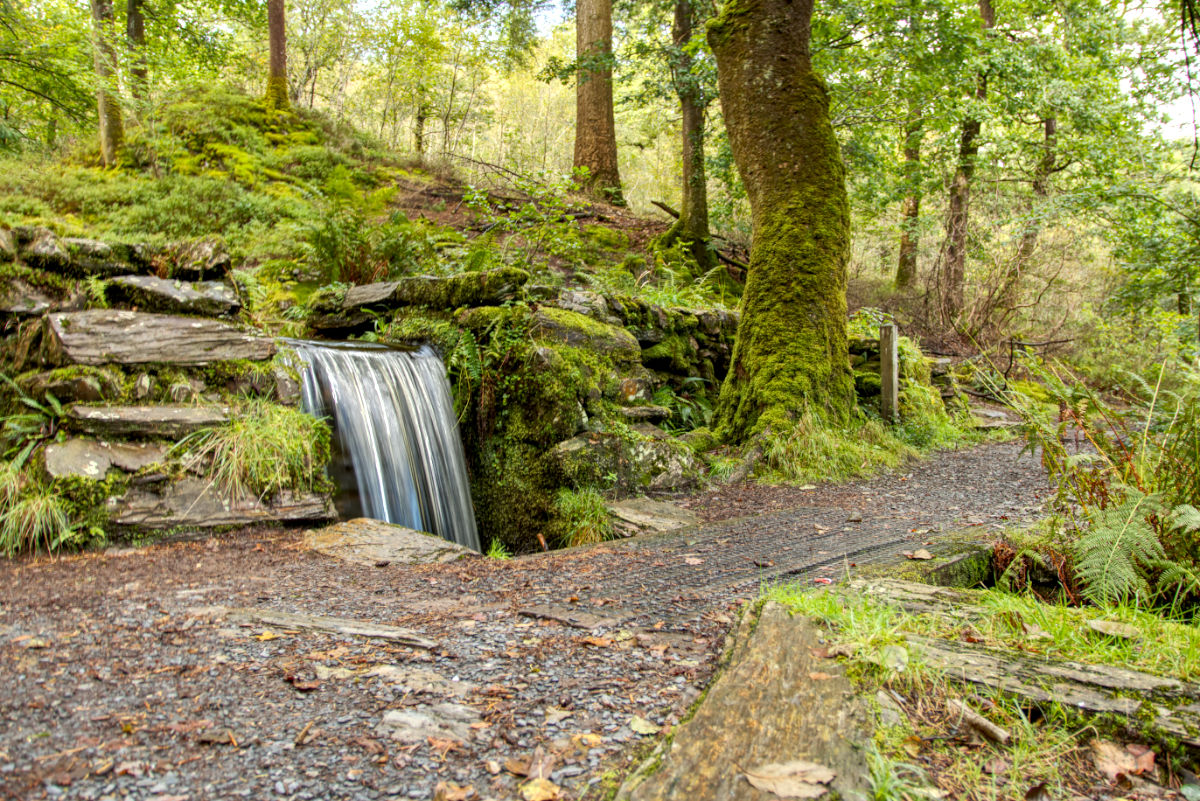 The little bridge pool and waterfall