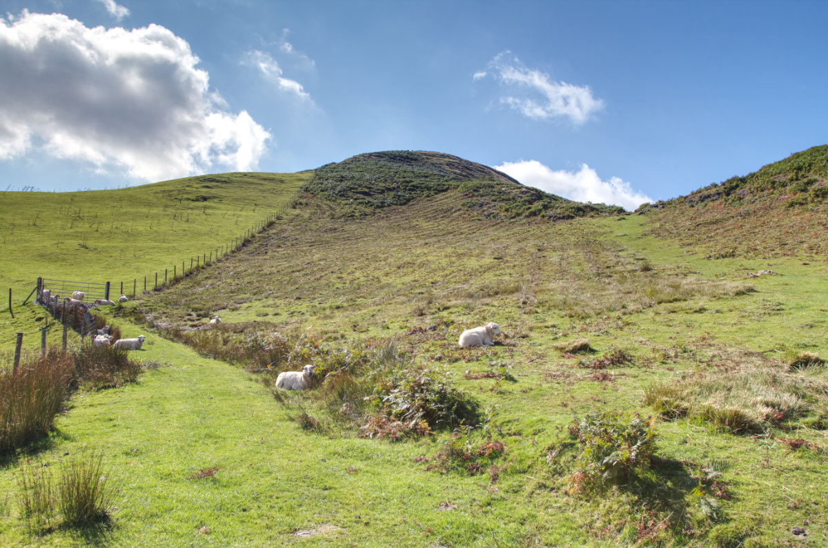 The last tricky ascent on the right