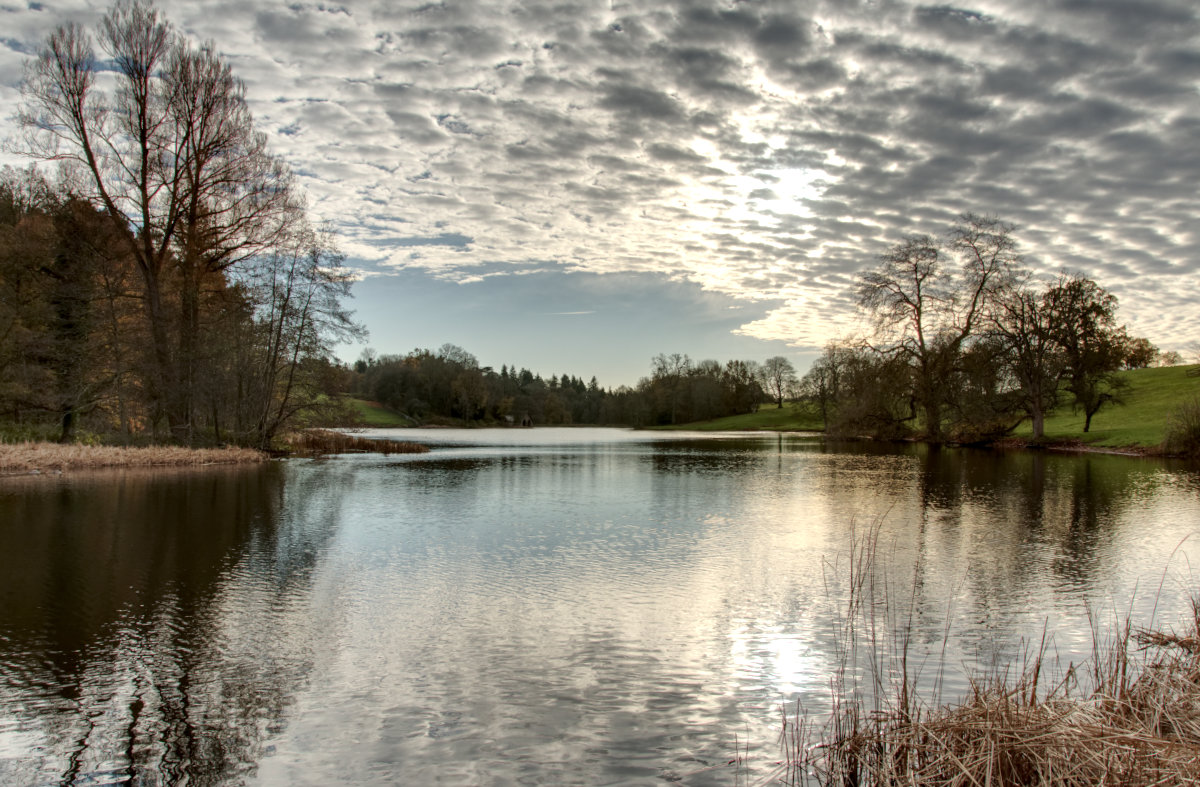 A view of the big pool from a fishing peg