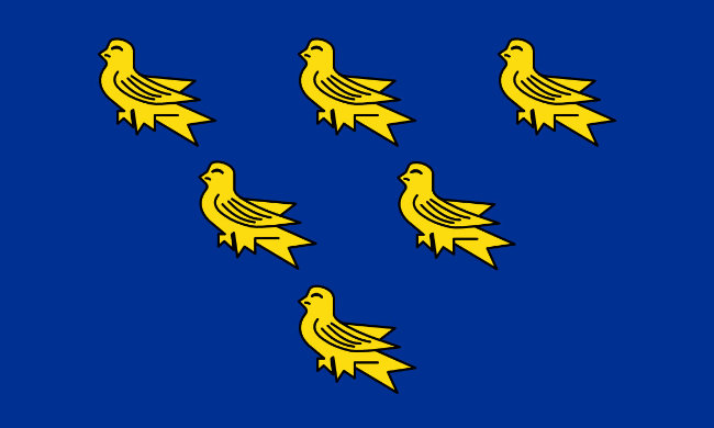 Blue flag with 6 yellow birds arranged in a triangle