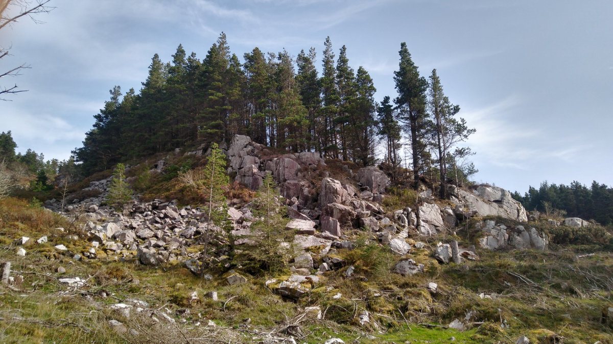 Dramatic scenery has been revealed by the deforestation