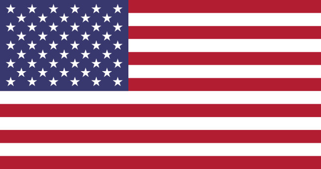 Question 5 flag